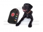 Nadajnik GPS dla psów i kotów i innych zwierząt. Monitorowanie gdzie przebywa zwierzak