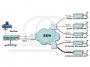 Schemat wykorzystania konwertera w sieci SDH z wykorzystaniem VLAN ów