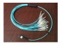 Kabel rozgałęźny zakończony z jednej strony złączem wielowłóknowym MPO